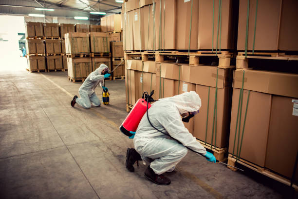 Best Wildlife Control Services  in Marlboro Village, MD