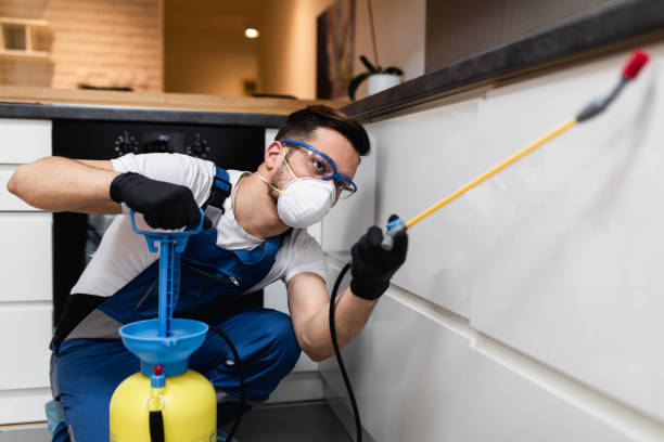 Best Flea Control Services  in Marlboro Village, MD