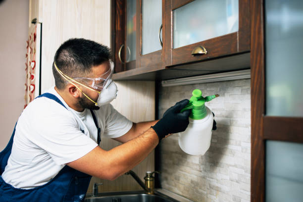 Best Termite Control Services  in Marlboro Village, MD