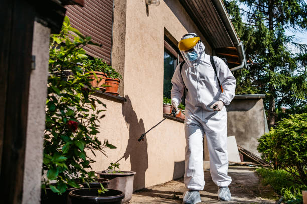 Reliable Marlboro Village, MD Pest Control Solutions