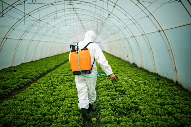 Best Pest Control Near Me  in Marlboro Village, MD