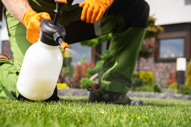Flea Control Services in Marlboro Village, MD