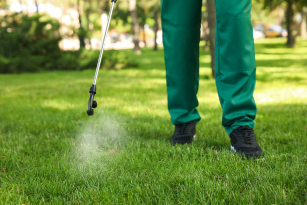Insect Control in Marlboro Village, MD