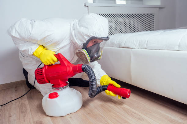 Best Local Pest Control Services  in Marlboro Village, MD
