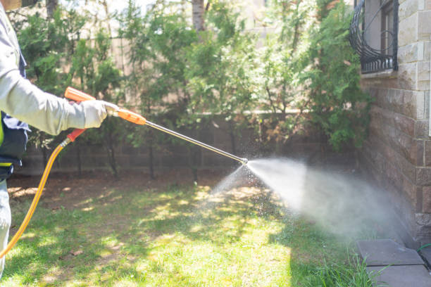 Best Residential Pest Control  in Marlboro Village, MD
