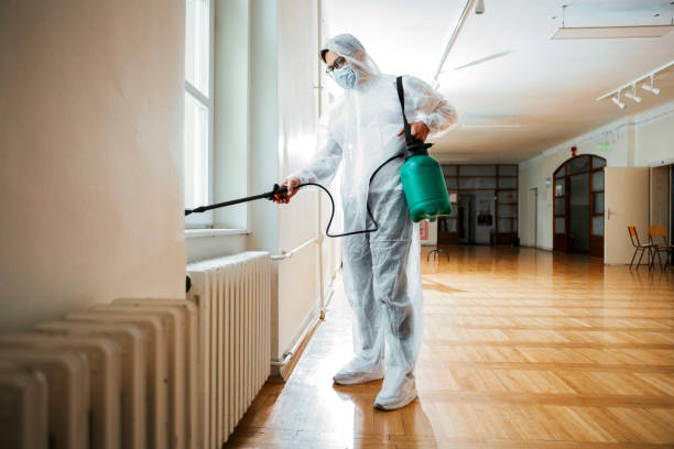 Best Pest Control for Homes  in Marlboro Village, MD