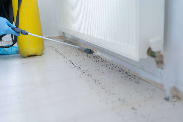 Best Affordable Pest Control Services  in Marlboro Village, MD