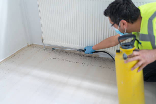 Best Affordable Pest Control Services  in Marlboro Village, MD
