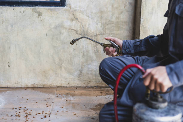 Best Exterminator Services  in Marlboro Village, MD