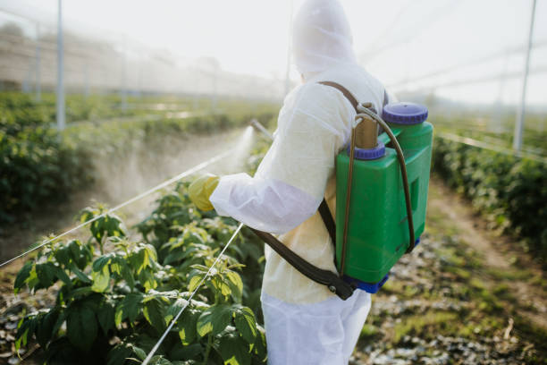 Pest Control for Restaurants in Marlboro Village, MD